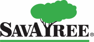 Savatree Colorlogo (1)
