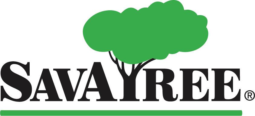 Savatree Colorlogo (1)